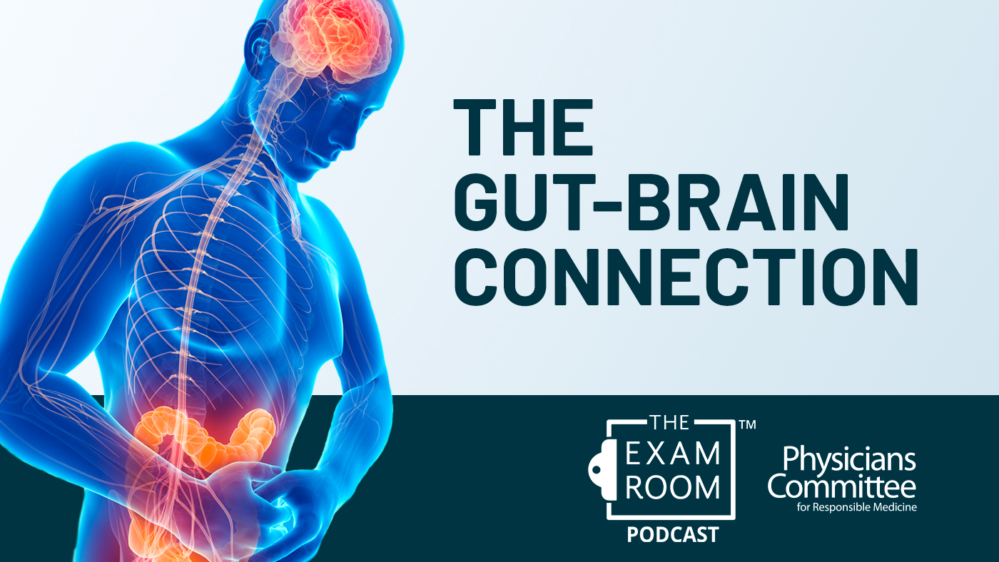 Why Your Gut and Brain Can't Stop Talking