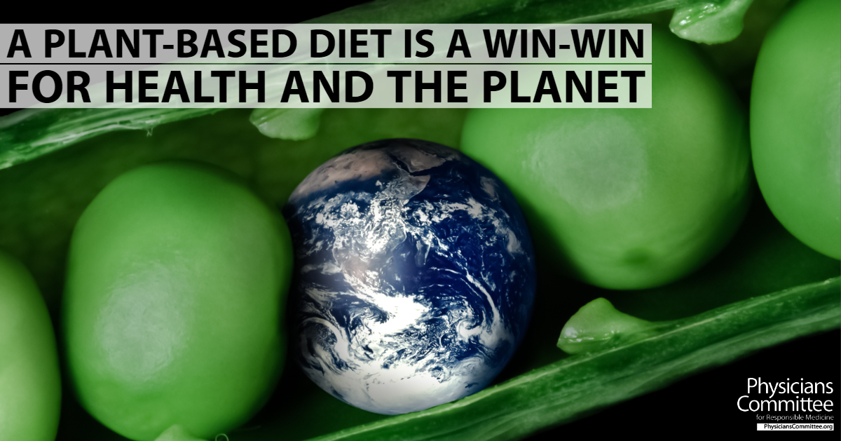 Plant-Based Diet Is Win-Win for Health and Planet
