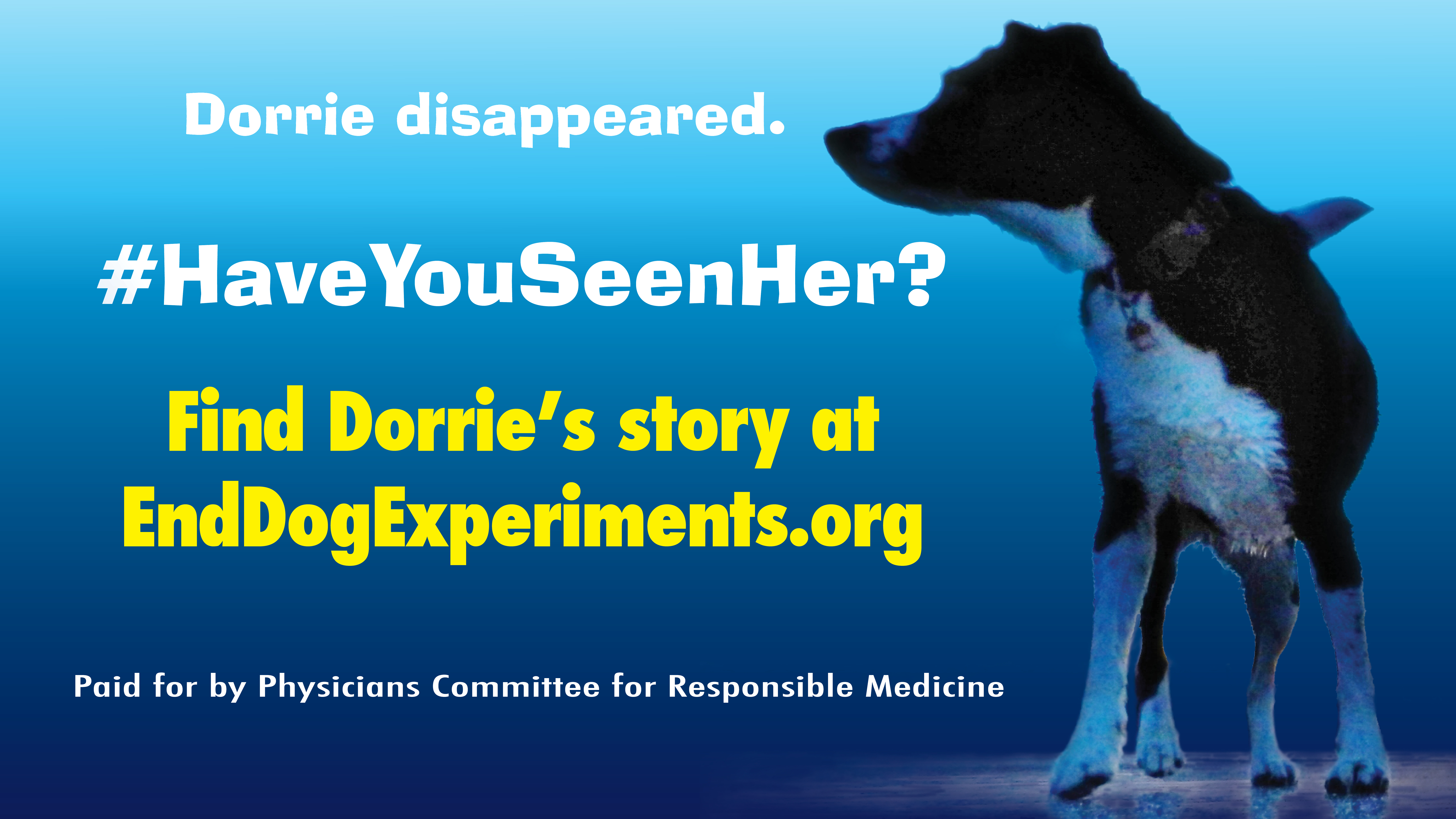 Dorrie Protest Ad