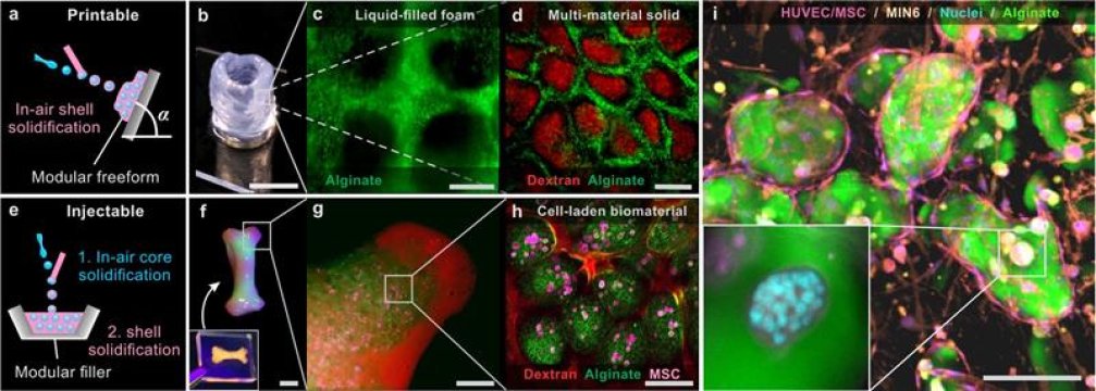 Printing-a-liquid-filled-foam-and-including-living-cells