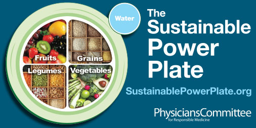 Sustainable-PowerPlate-Twitter-506x253