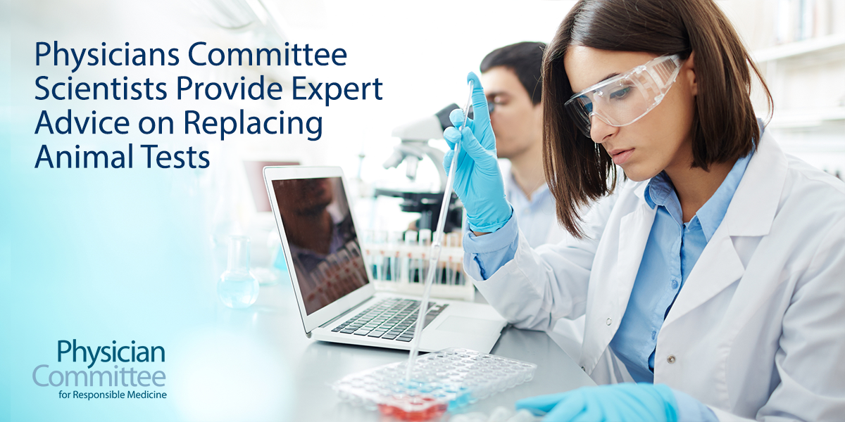 physicians-committee-scientists-provide-expert-advice-on-replacing