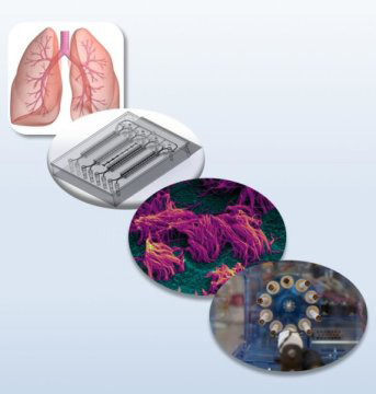 lung-on-chip
