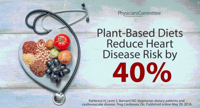 Plant-based diet and chronic disease prevention