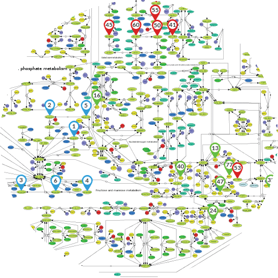 recon-map