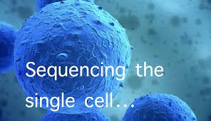 single-cell