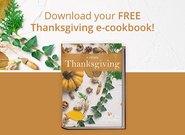 Download A Vegan Thanksgiving E-Cookbook