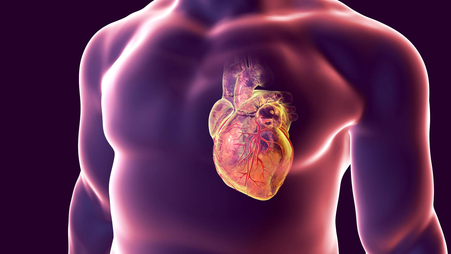 heart disease illustration
