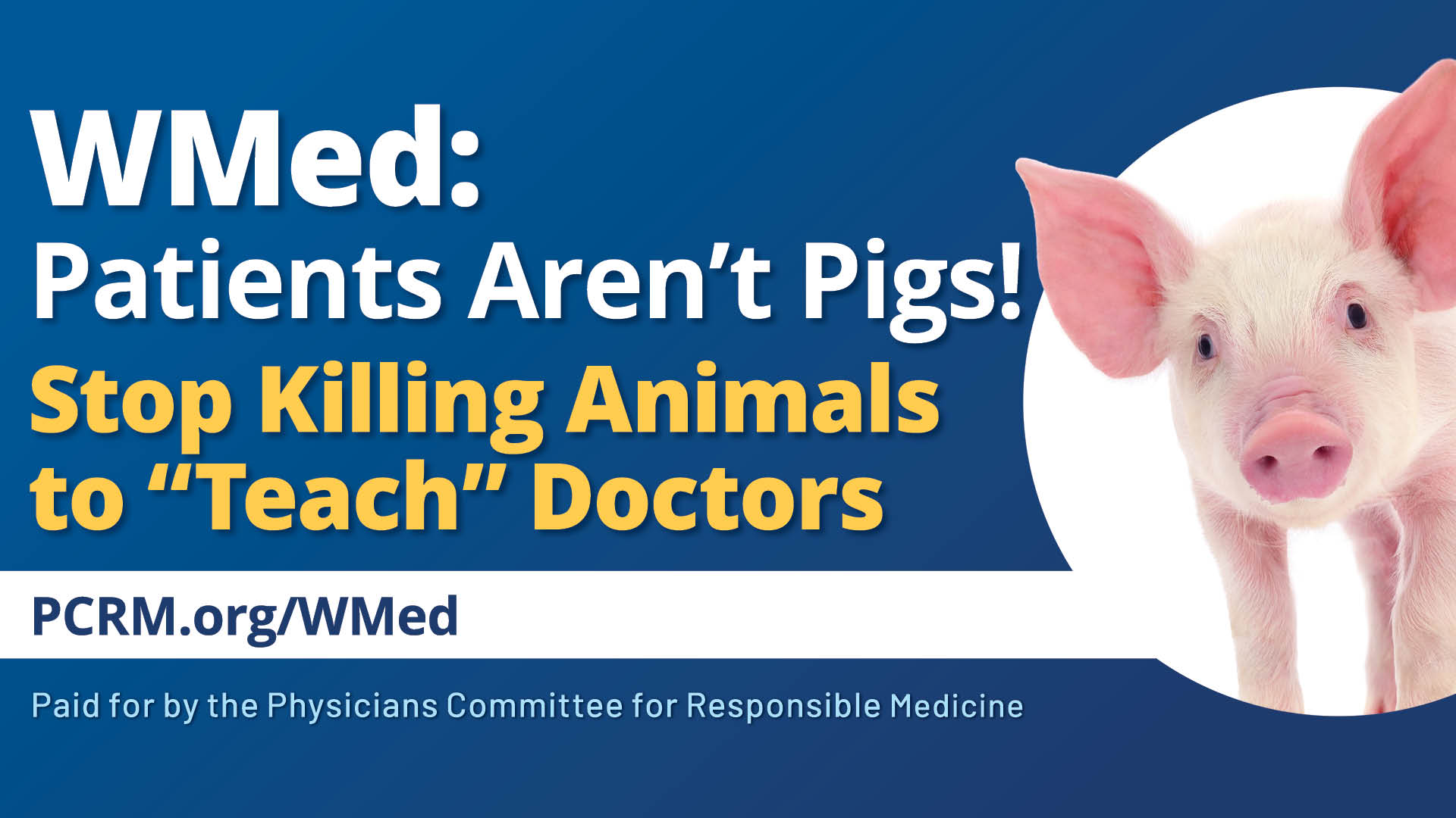 Medical Ethics Group Seeks Federal Investigation of WMed, Charles River for Using Animals to Train Doctors