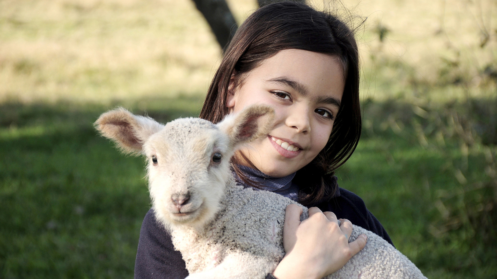 child with lamb