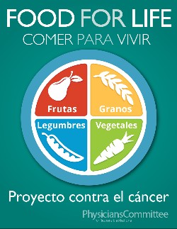 FFL Spanish Cancer Project Logo