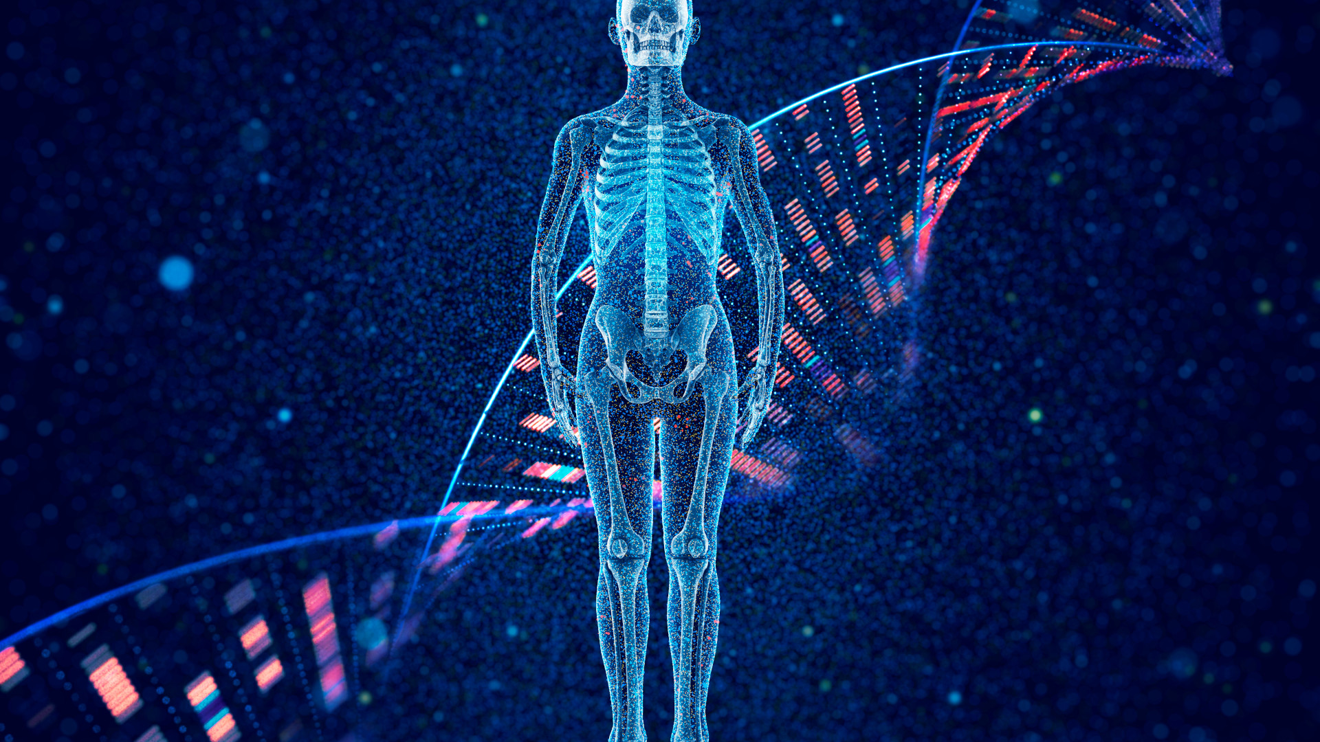 skeleton on dna