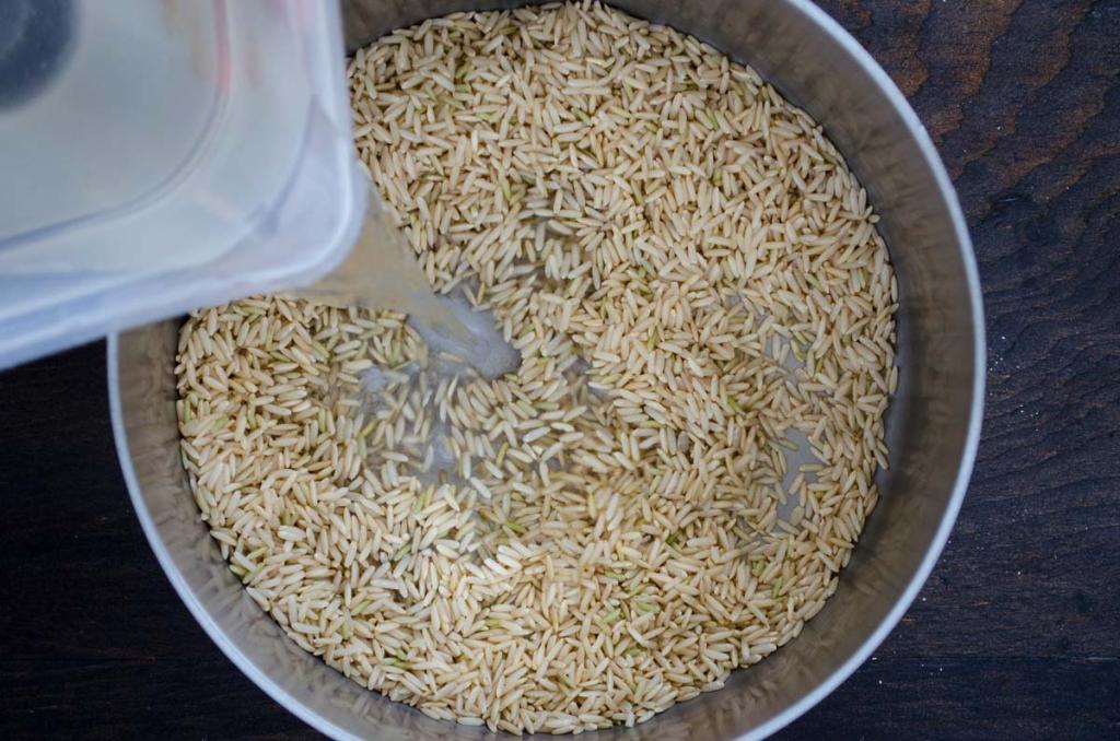 Arroz Integral Agua